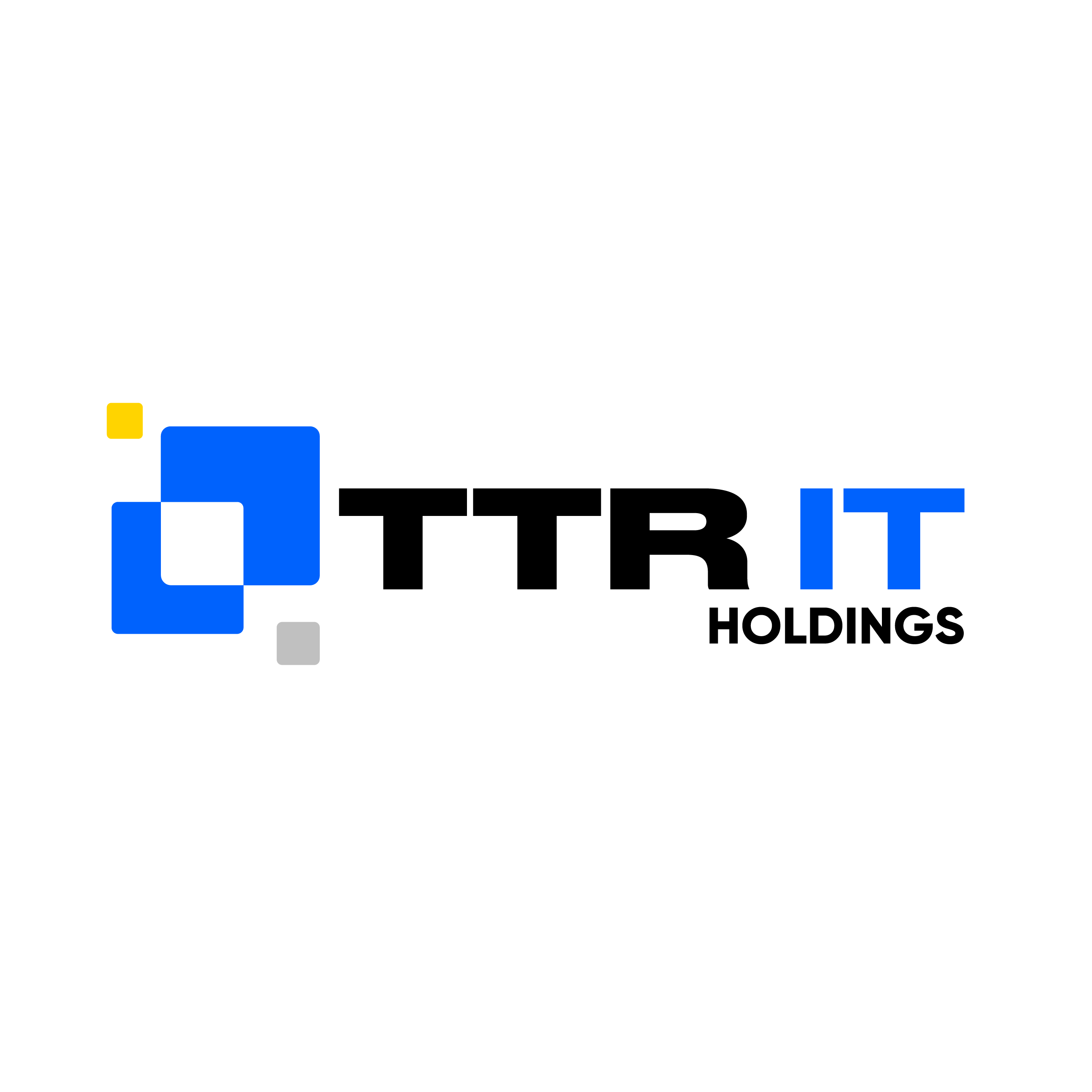 TTR IT Holdings